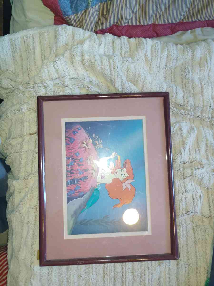 Disney framed pictures - Loveland, Colorado