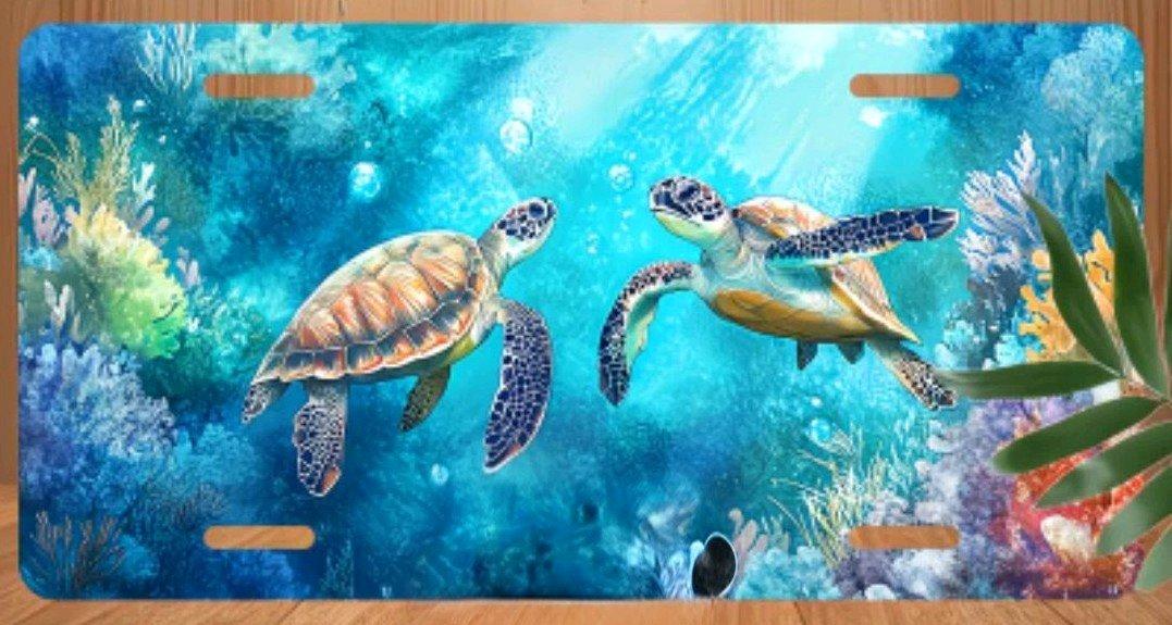 License Plate Frame - Palm Bay, Florida