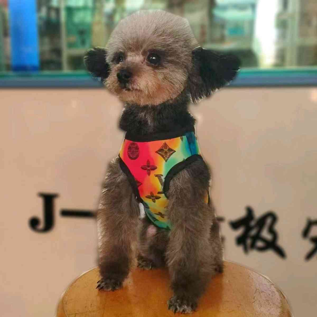 dog harness and leash set - Ellenwood, Georgia - FleaMarketBay