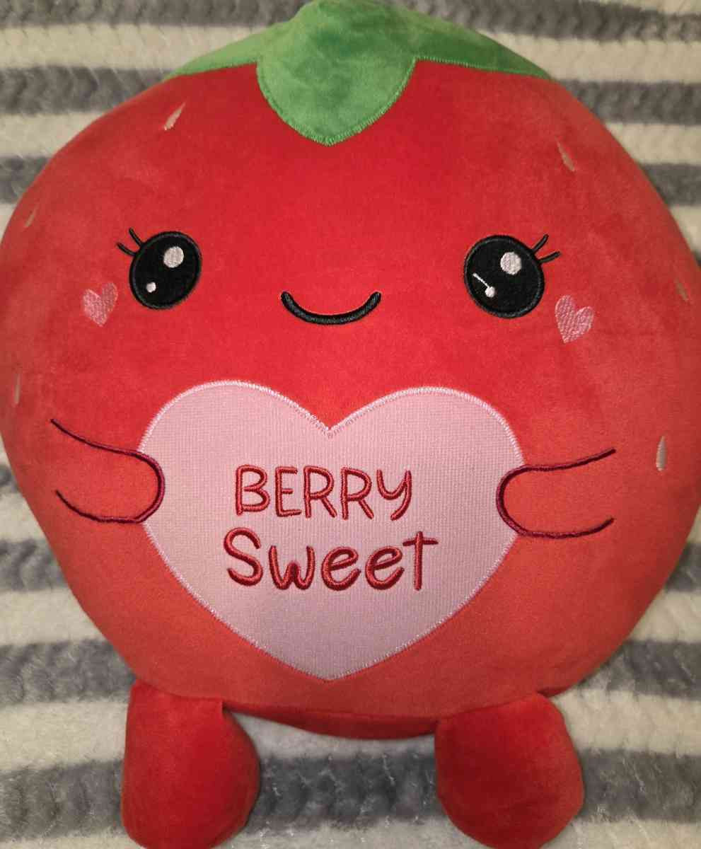 Berry Sweet Valentine Pillow New - Inglewood, California