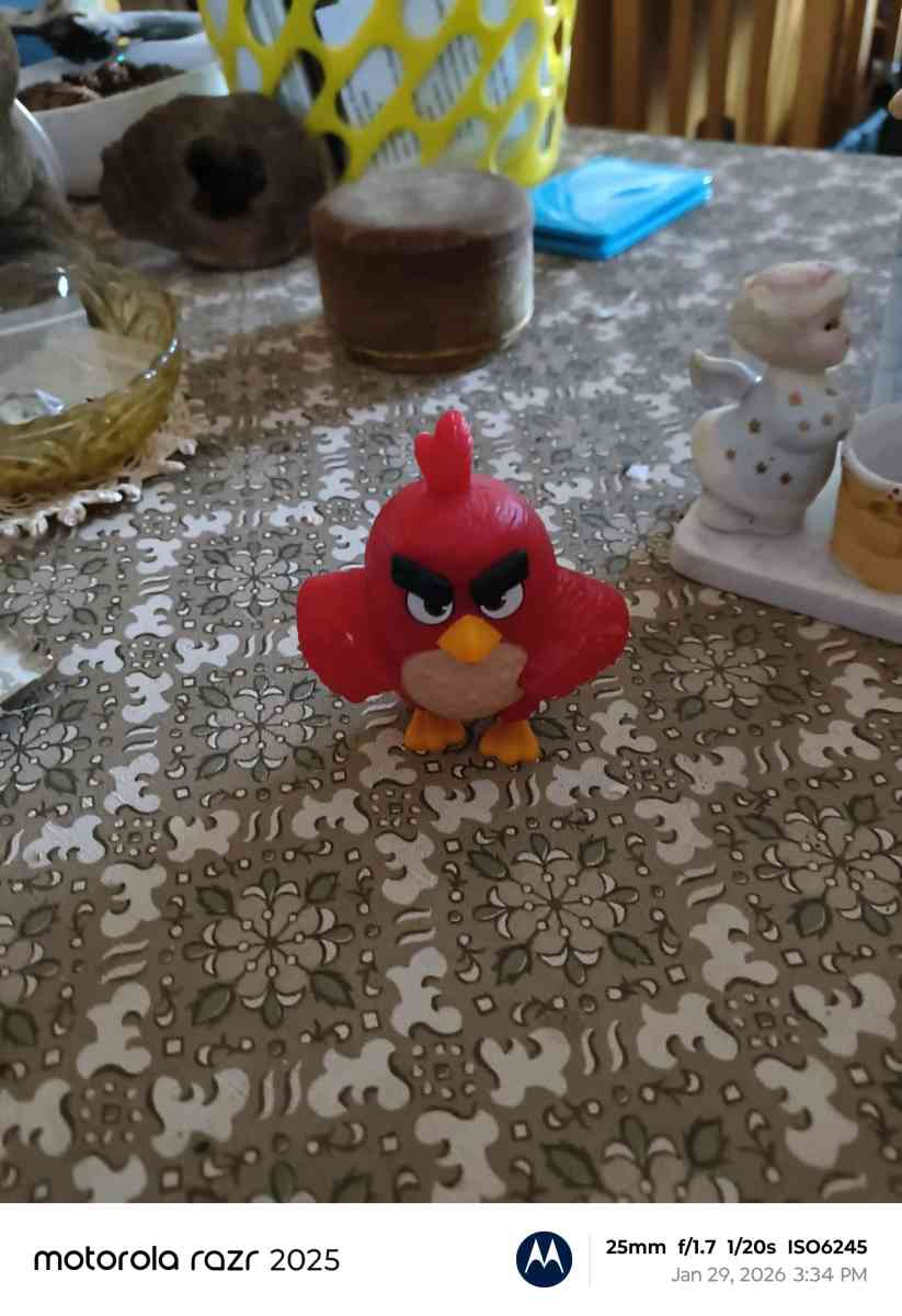 Tybeanie bear troll and angry bird - Adirondack, New York