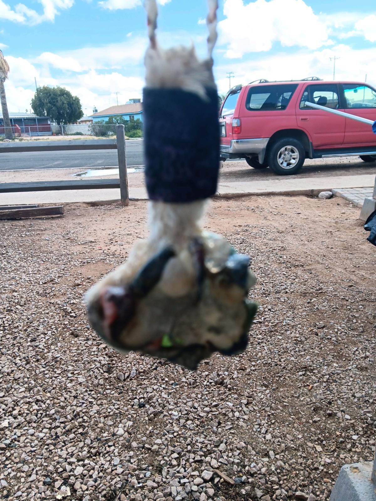 hande made j wall hanging  artuilry  and  india - Casa Grande, Arizona - FleaMarketBay