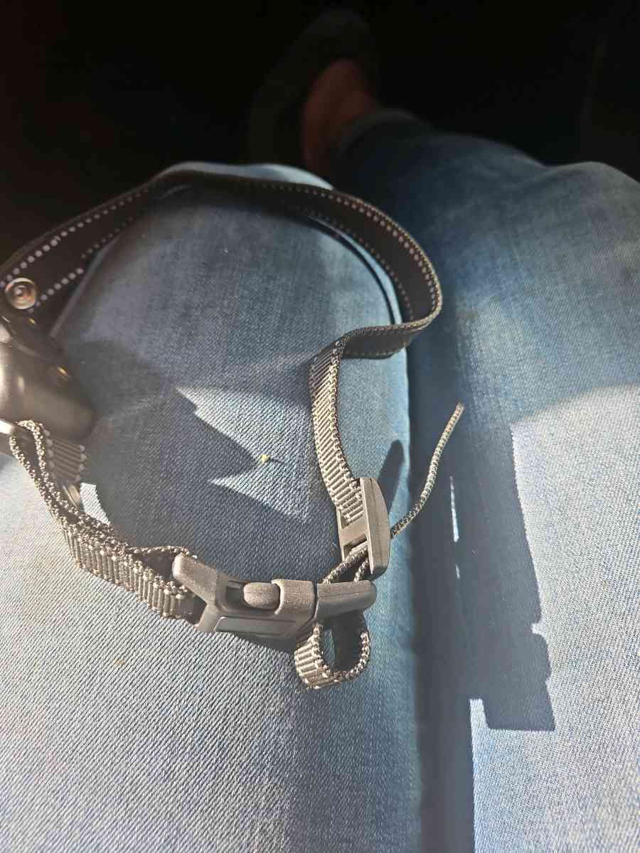 bark shock collar - Colorado Springs, Colorado - FleaMarketBay