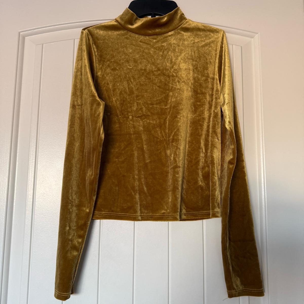 Mustard Gold Velvet HighNeck Long Sleeve Top with Keyhole Ba - Los Angeles, California