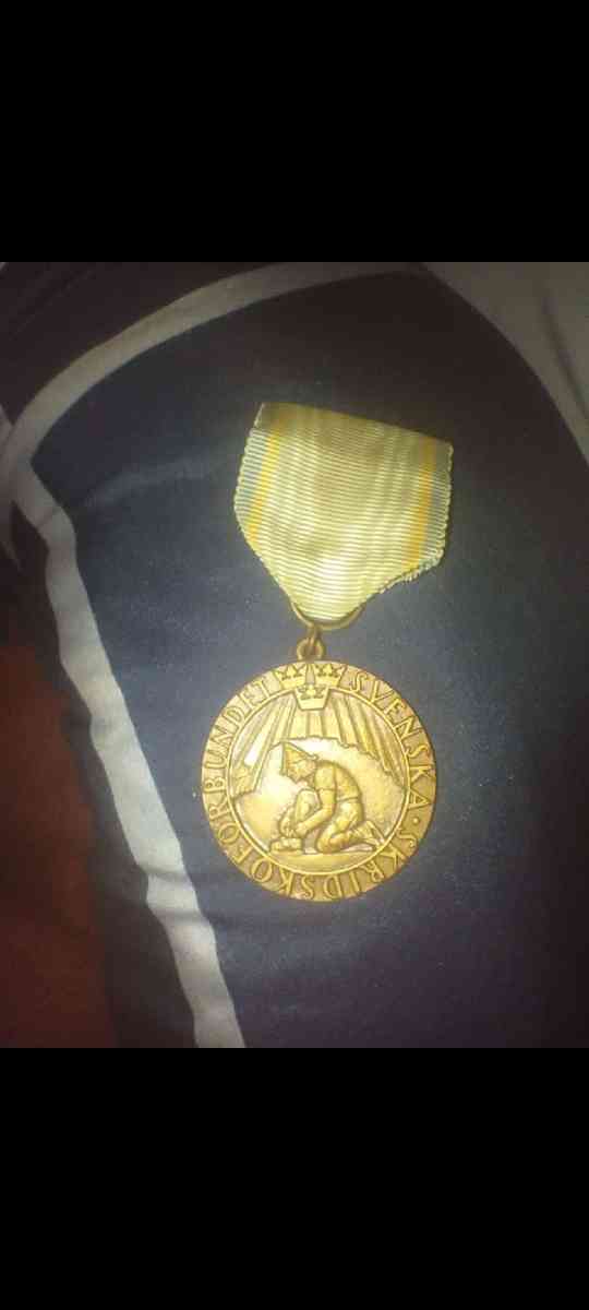 swedish medal 7 landscampen