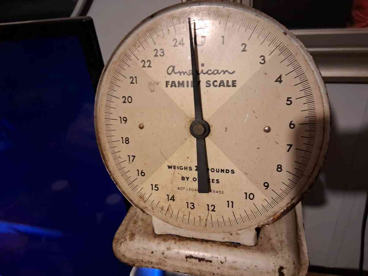 food scales - Laurens, South Carolina - FleaMarketBay