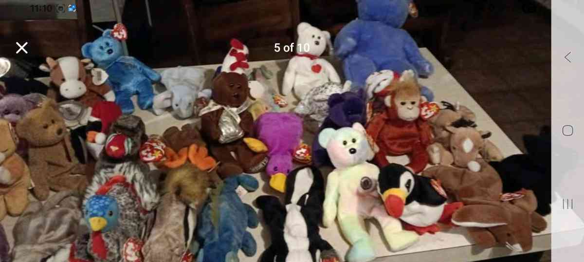 beanie babies collection - Powder Springs, Georgia - FleaMarketBay