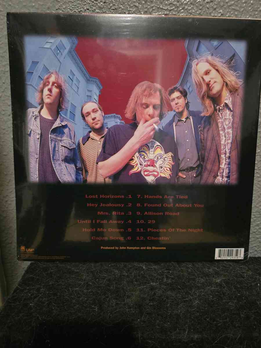 Gin Blossoms New Miserable Experience Vinyl Lp - Rosharon, Texas - FleaMarketBay