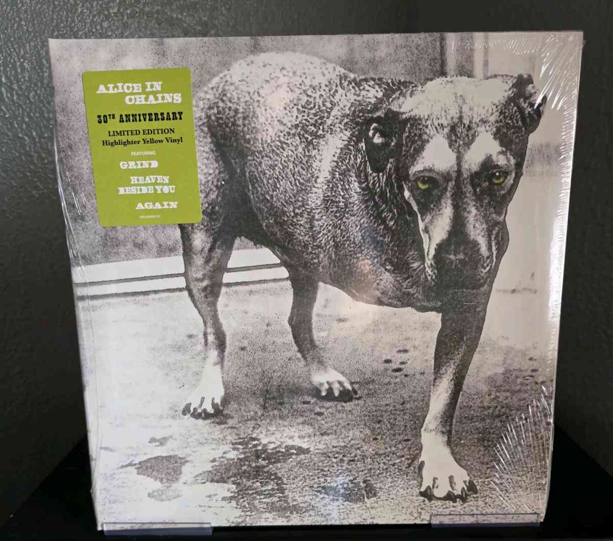 Alice In Chains Vinyl LP - Rosharon, Texas
