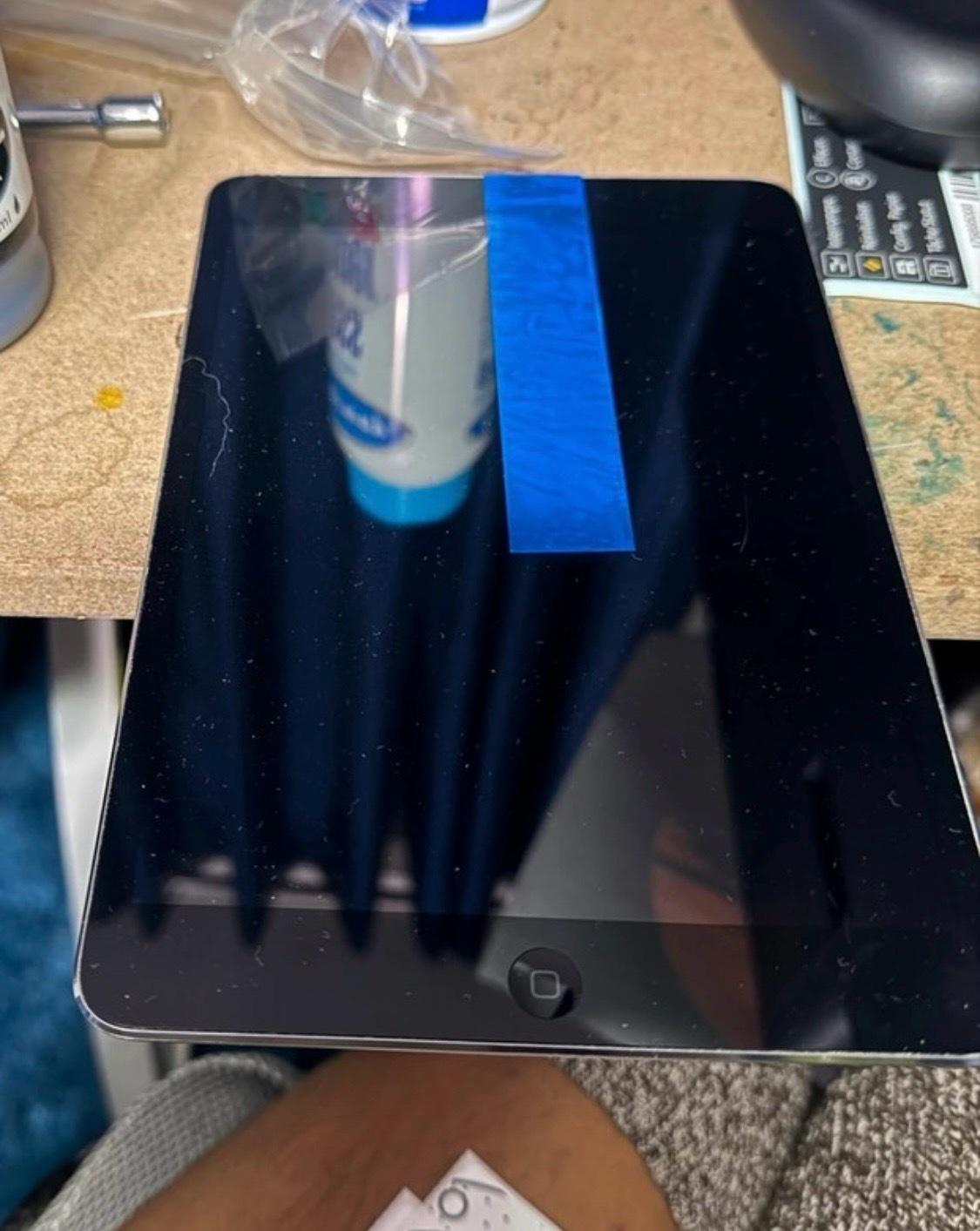 iPad Mini Black  16GB Reset