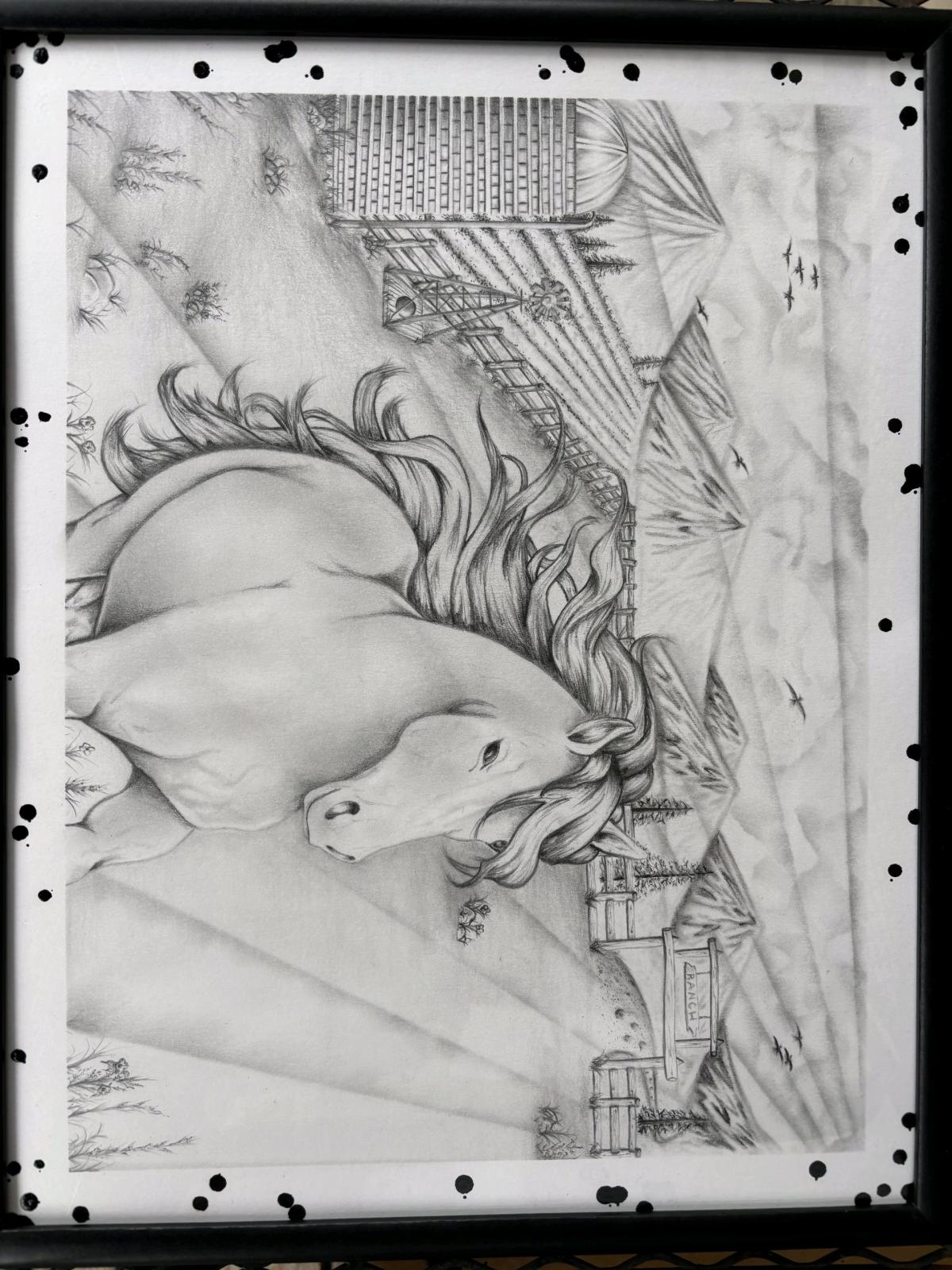 Freedom Beyond the Fence IFlagship Original 11x14 - Elkader, Iowa - FleaMarketBay