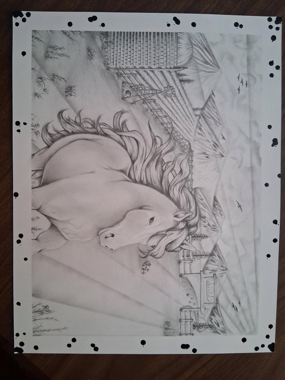 Freedom Beyond the Fence IFlagship Original