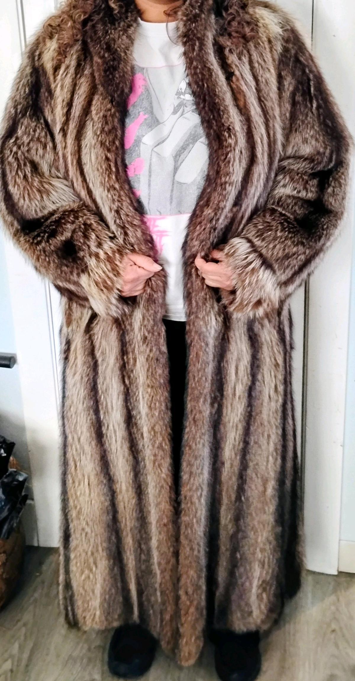 luxurious full length striped raccoon coat - Wenham, Massachusetts