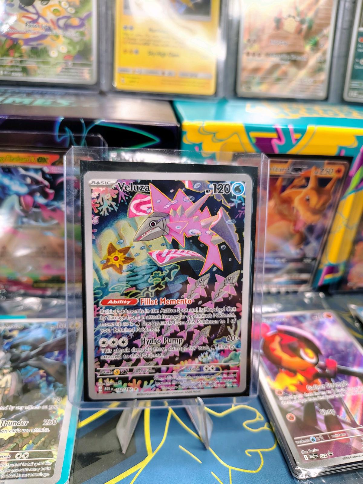 Veluza illustration rare - Fresno, California