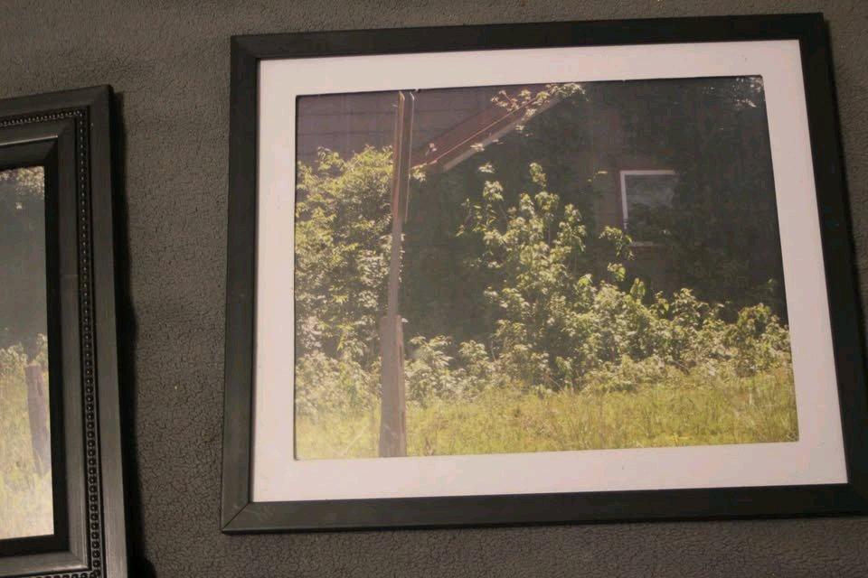 flower 8x10 photos - Princeton, Texas - FleaMarketBay