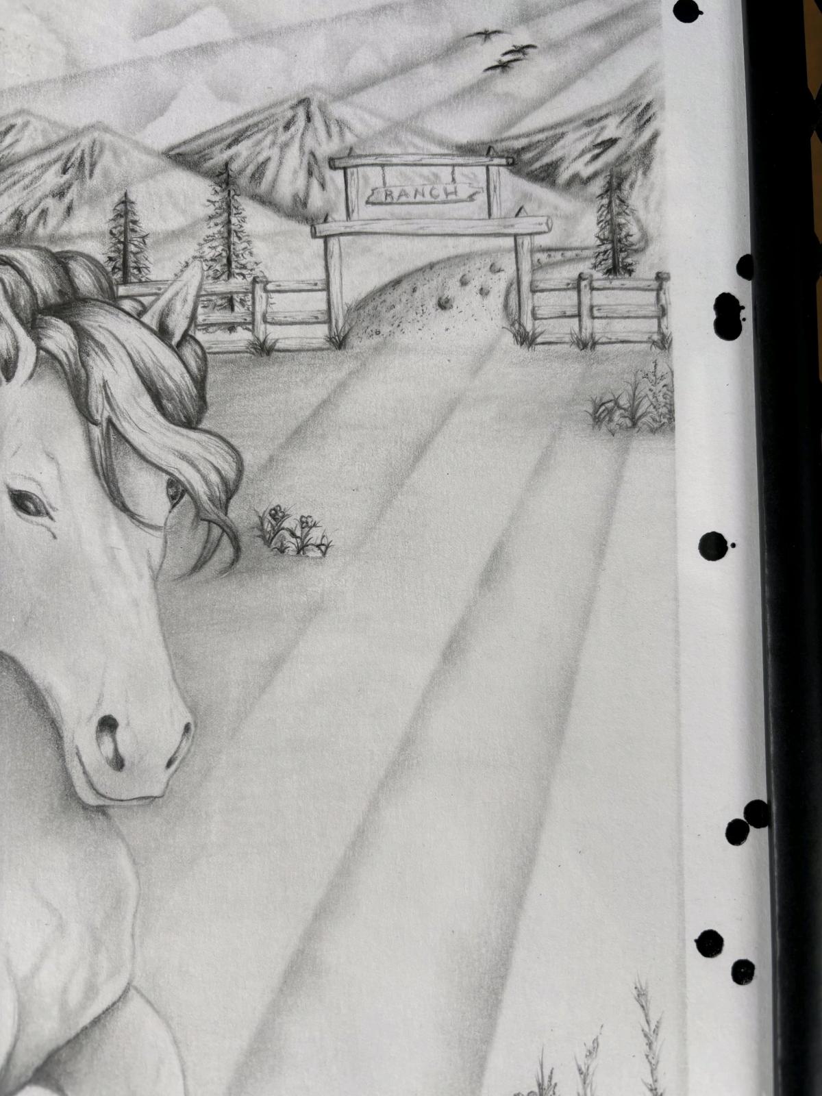 Freedom Beyond the Fence IFlagship Original 11x14 - Elkader, Iowa - FleaMarketBay