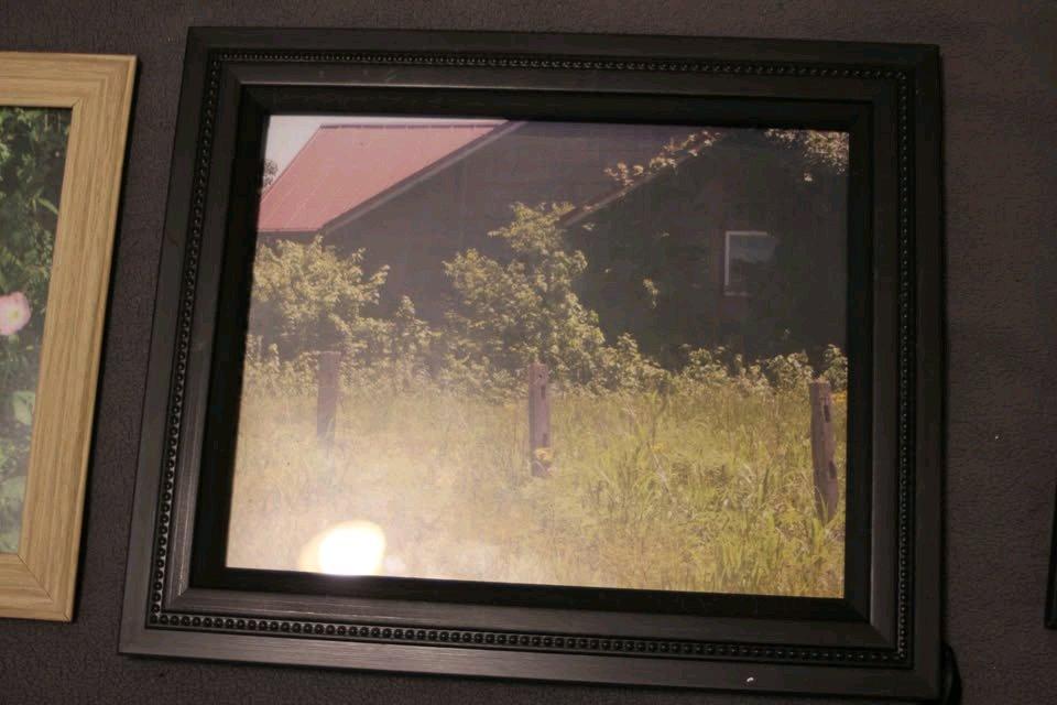 flower 8x10 photos - Princeton, Texas - FleaMarketBay