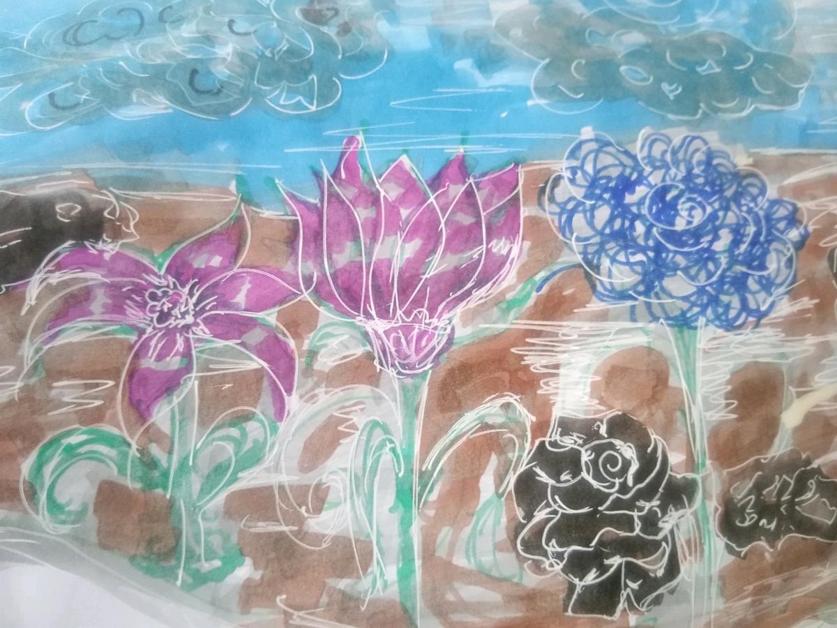 digital picture - Pocatello, Idaho - FleaMarketBay