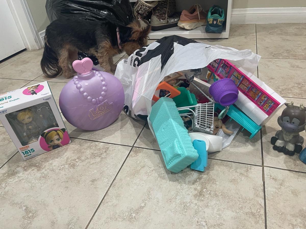 I am selling a bag of Barbie dolls and Barbie sets and etc - Reseda, California - FleaMarketBay
