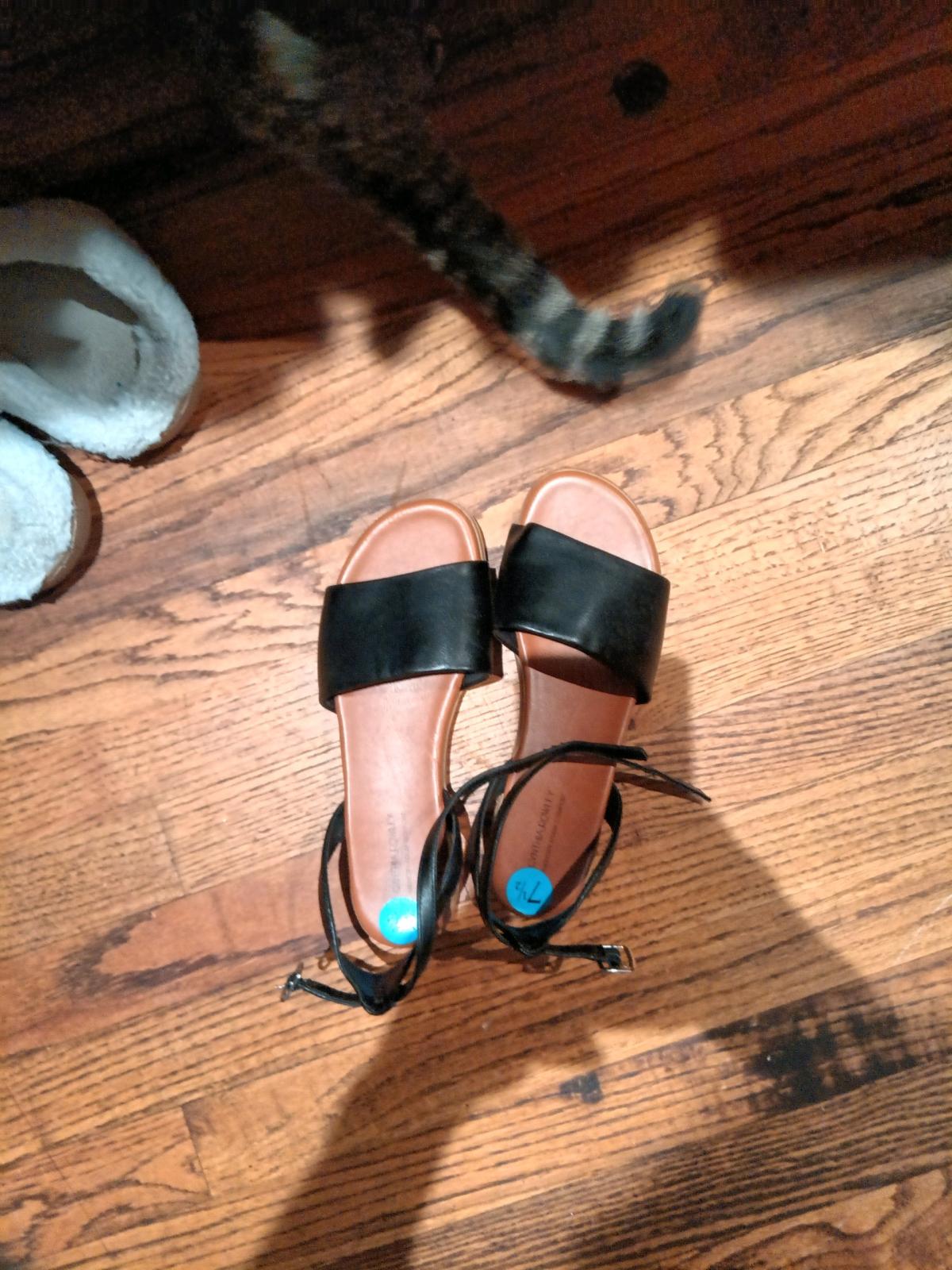 ladies shoes - Madisonville, Louisiana - FleaMarketBay