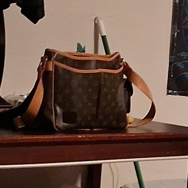 beautuful L V  shoulder bag - California City, California