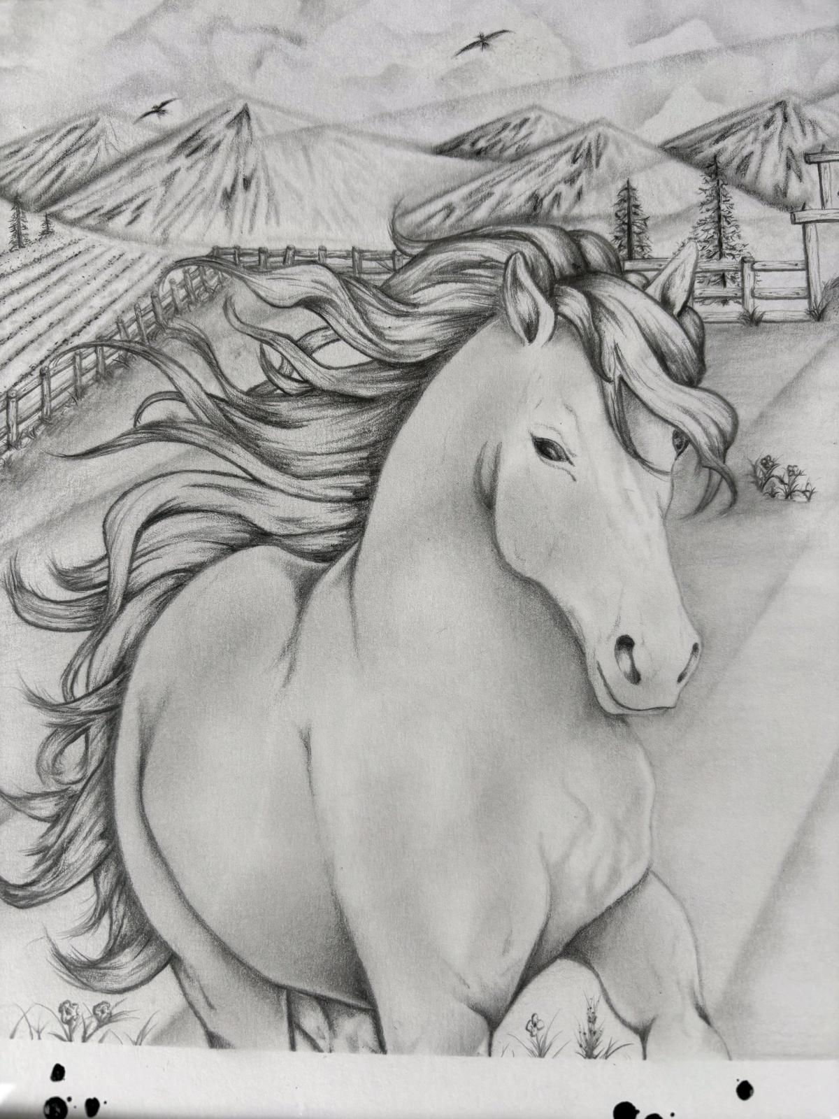 Freedom Beyond the Fence IFlagship Original 11x14 - Elkader, Iowa - FleaMarketBay