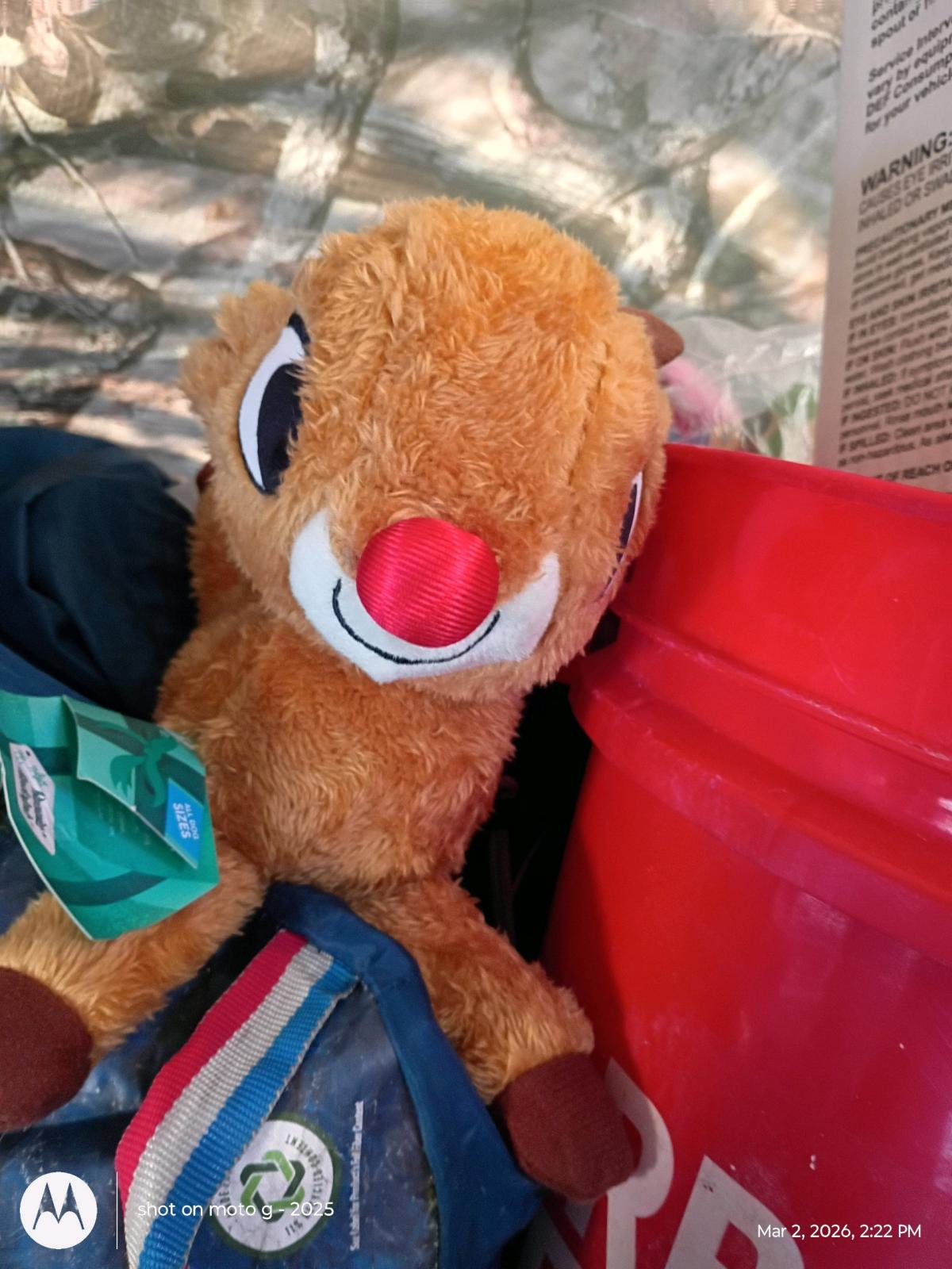 New dog toy - Las Vegas, Nevada - FleaMarketBay