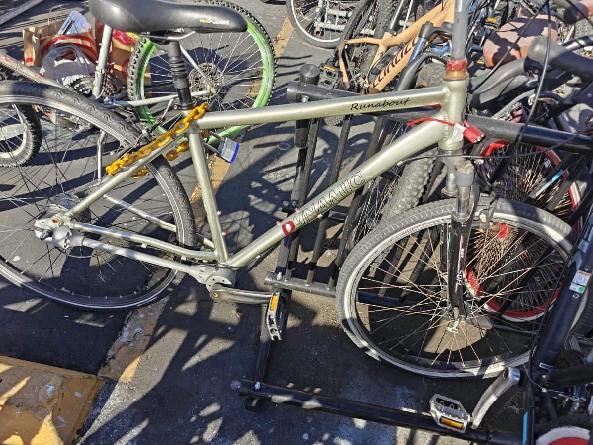 DYNAMIC ROUNDABOUT HYBRID BIKE