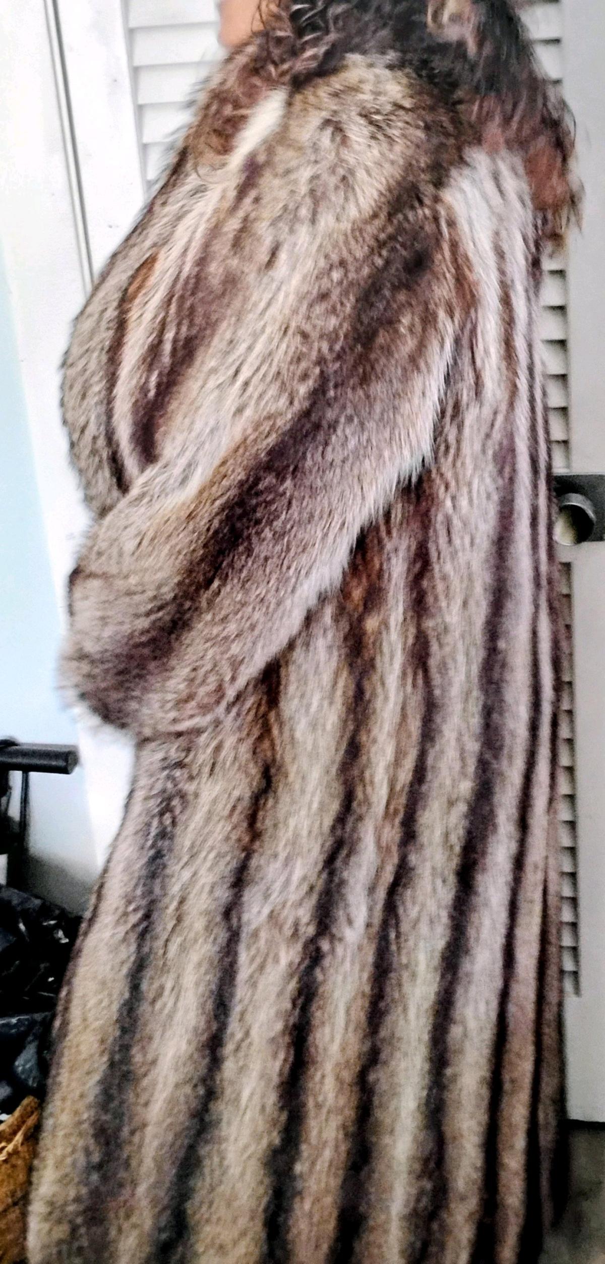luxurious full length striped raccoon coat - Wenham, Massachusetts - FleaMarketBay
