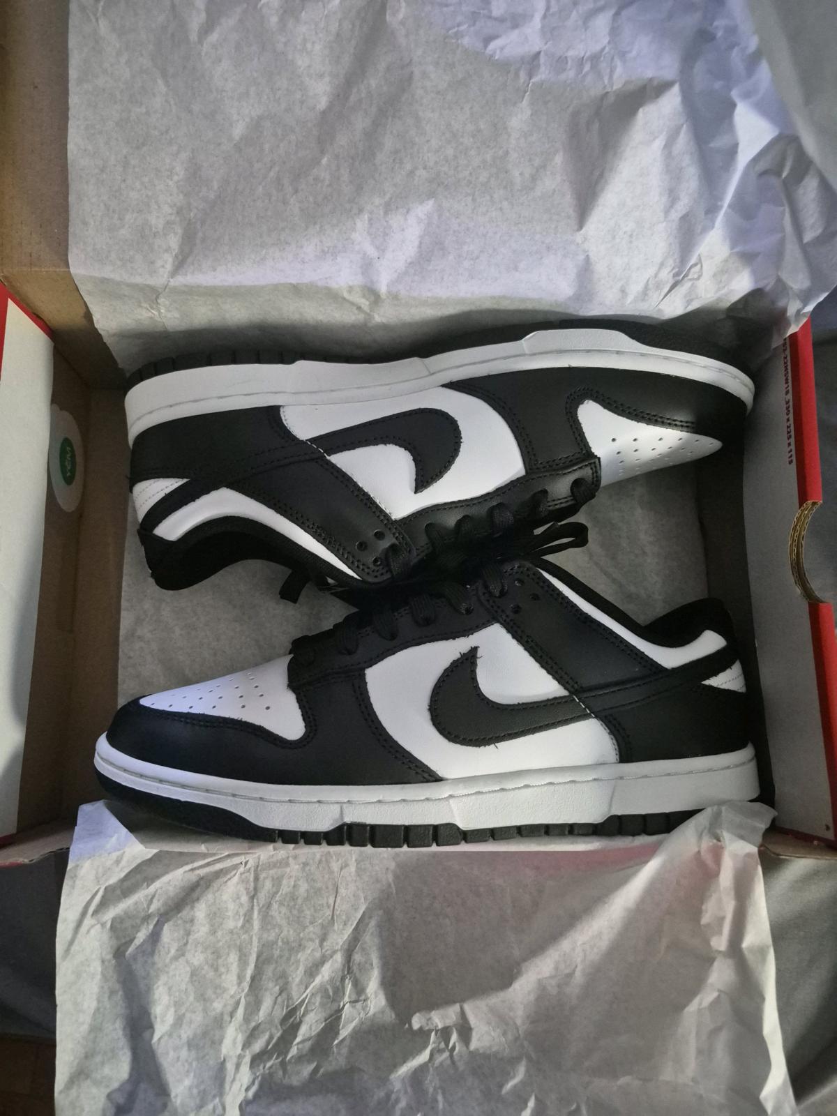 Nike Dunk Low Retro - Ludlow, Massachusetts