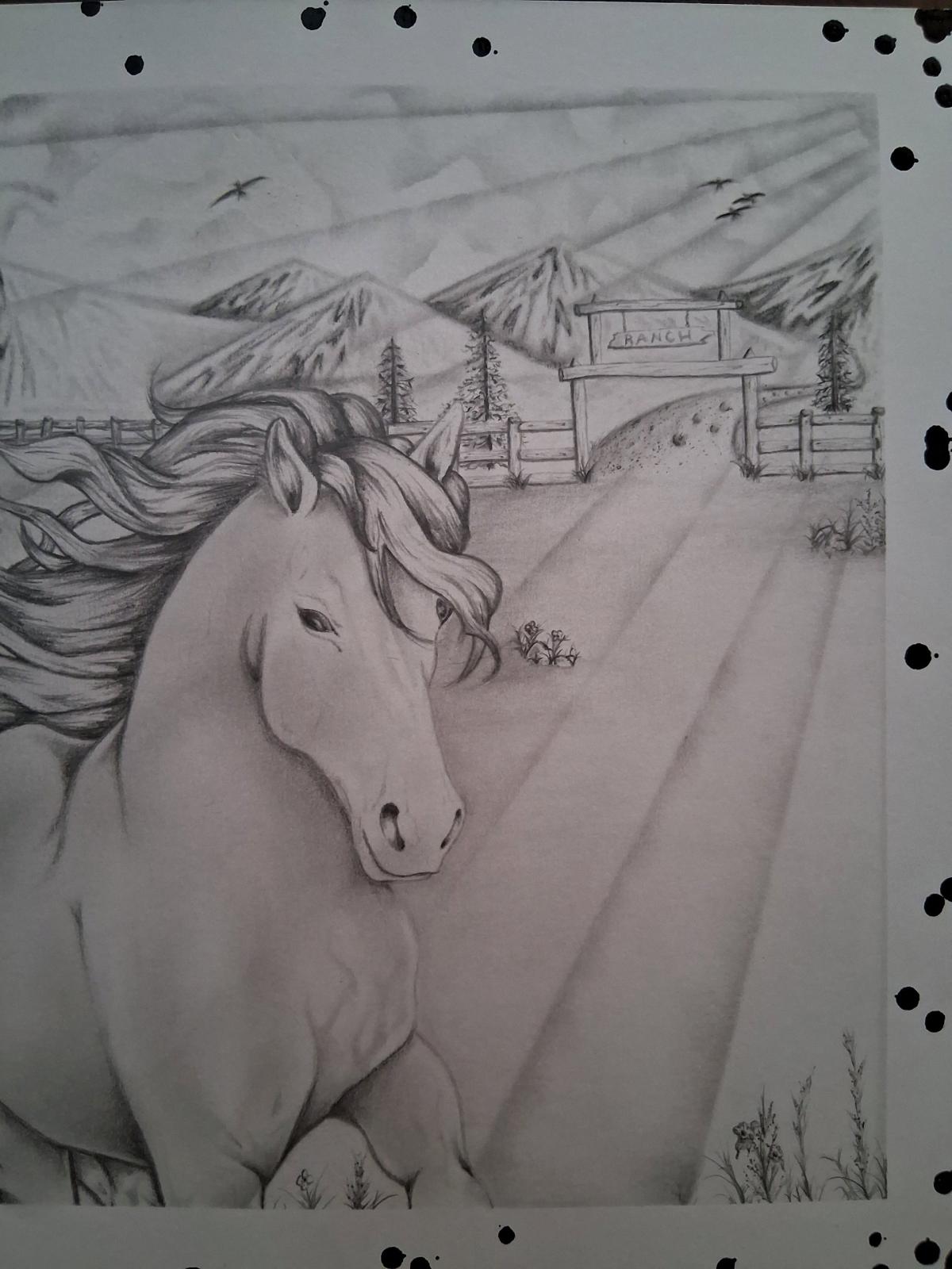 Freedom Beyond the Fence IFlagship Original - Elkader, Iowa - FleaMarketBay