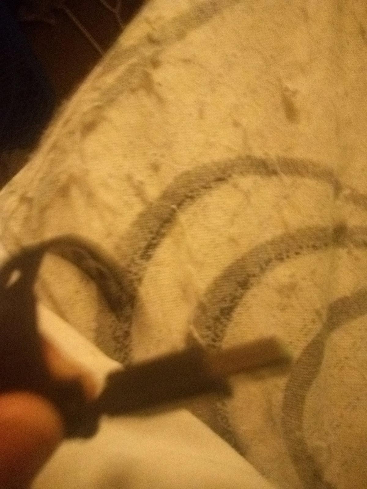 two black headphones - Fort Wayne, Indiana - FleaMarketBay