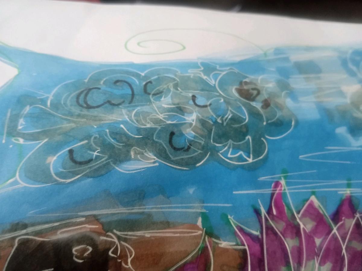 digital picture - Pocatello, Idaho - FleaMarketBay