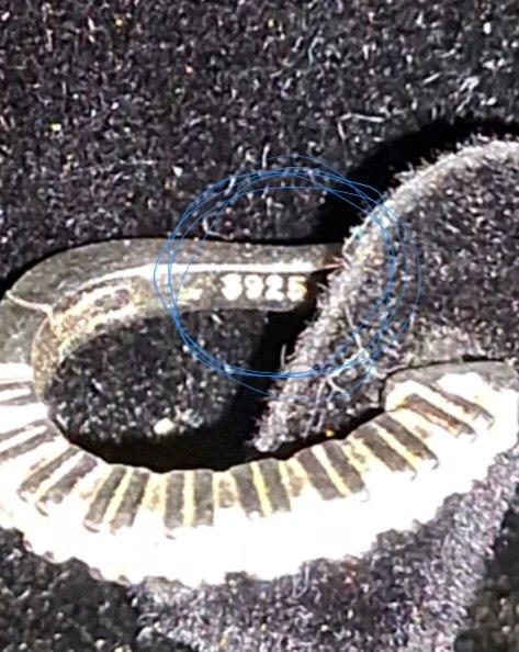 BRAND NEW 925 Silver and Moissanite earrings - Philadelphia, Pennsylvania - FleaMarketBay