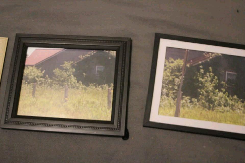 flower 8x10 photos - Princeton, Texas - FleaMarketBay