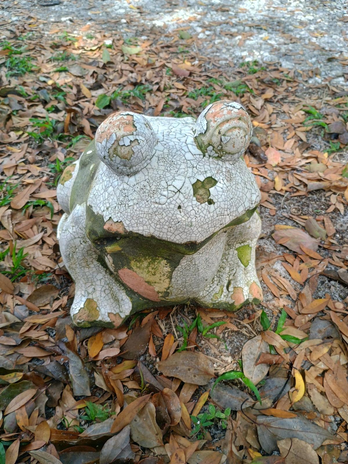 yard landscape decor - Alicia, Arkansas - FleaMarketBay