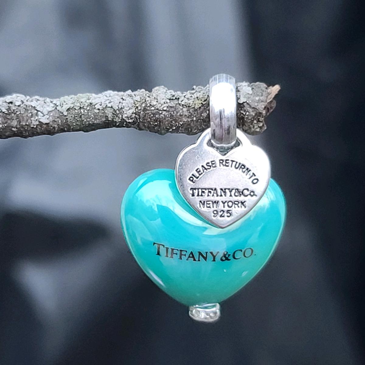 3D Bubble Heart Earrings or Pendant - Redford, Michigan