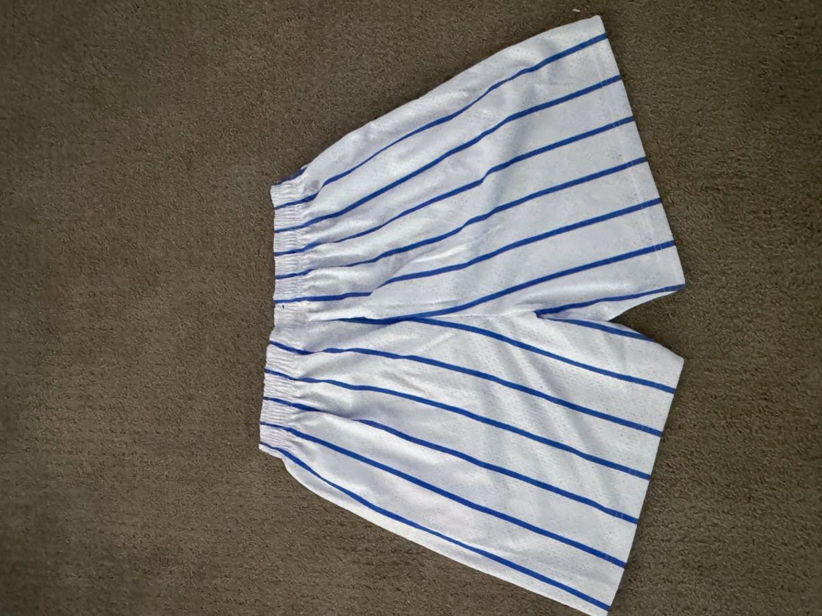 Los Angeles Dodgers Mesh Shorts - Lake Elsinore, California - FleaMarketBay