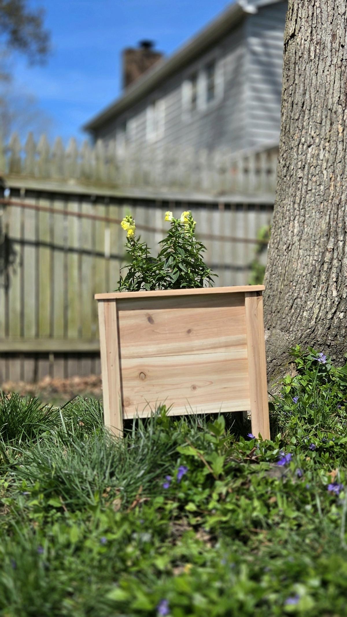 Cedar planters - Hampton, Virginia - FleaMarketBay