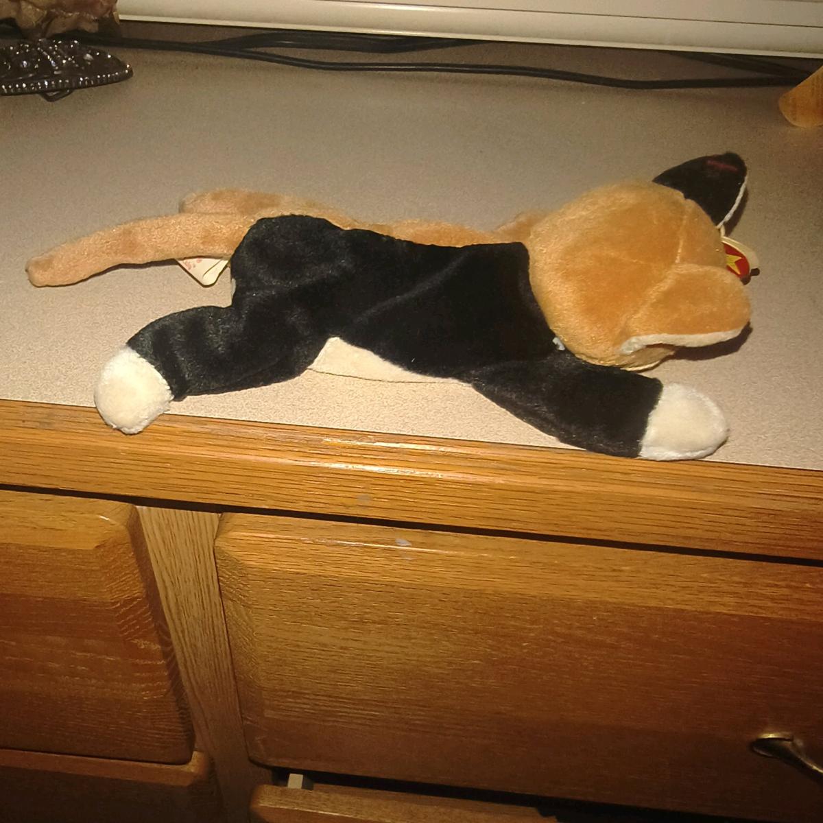 chip with errors 1996 beanie Excellent - Lufkin, Texas - FleaMarketBay