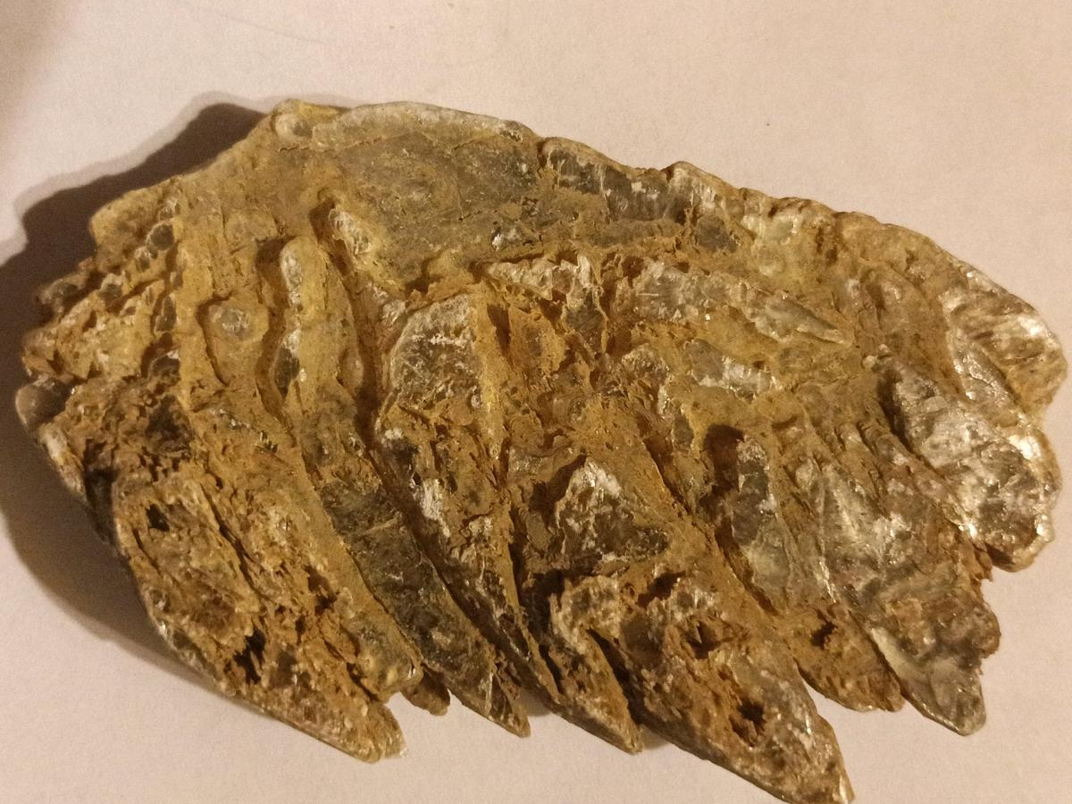 Kauri Gum - Double Springs, Alabama - FleaMarketBay