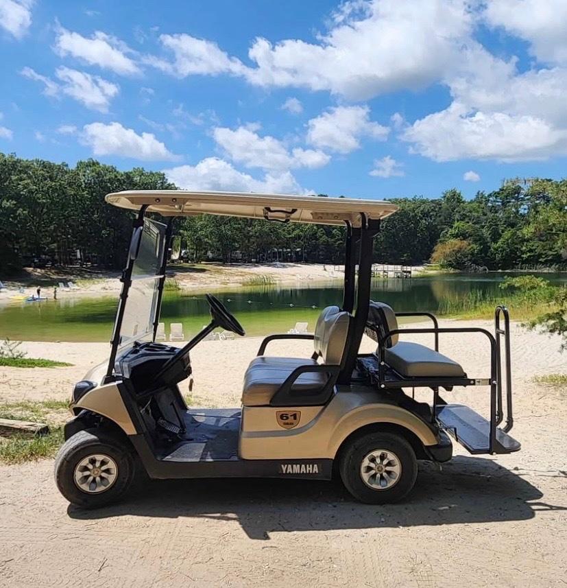 2019 YAHAMA DRIVE 2  48 VOLT GOLF CART - Brooklyn, New York - FleaMarketBay