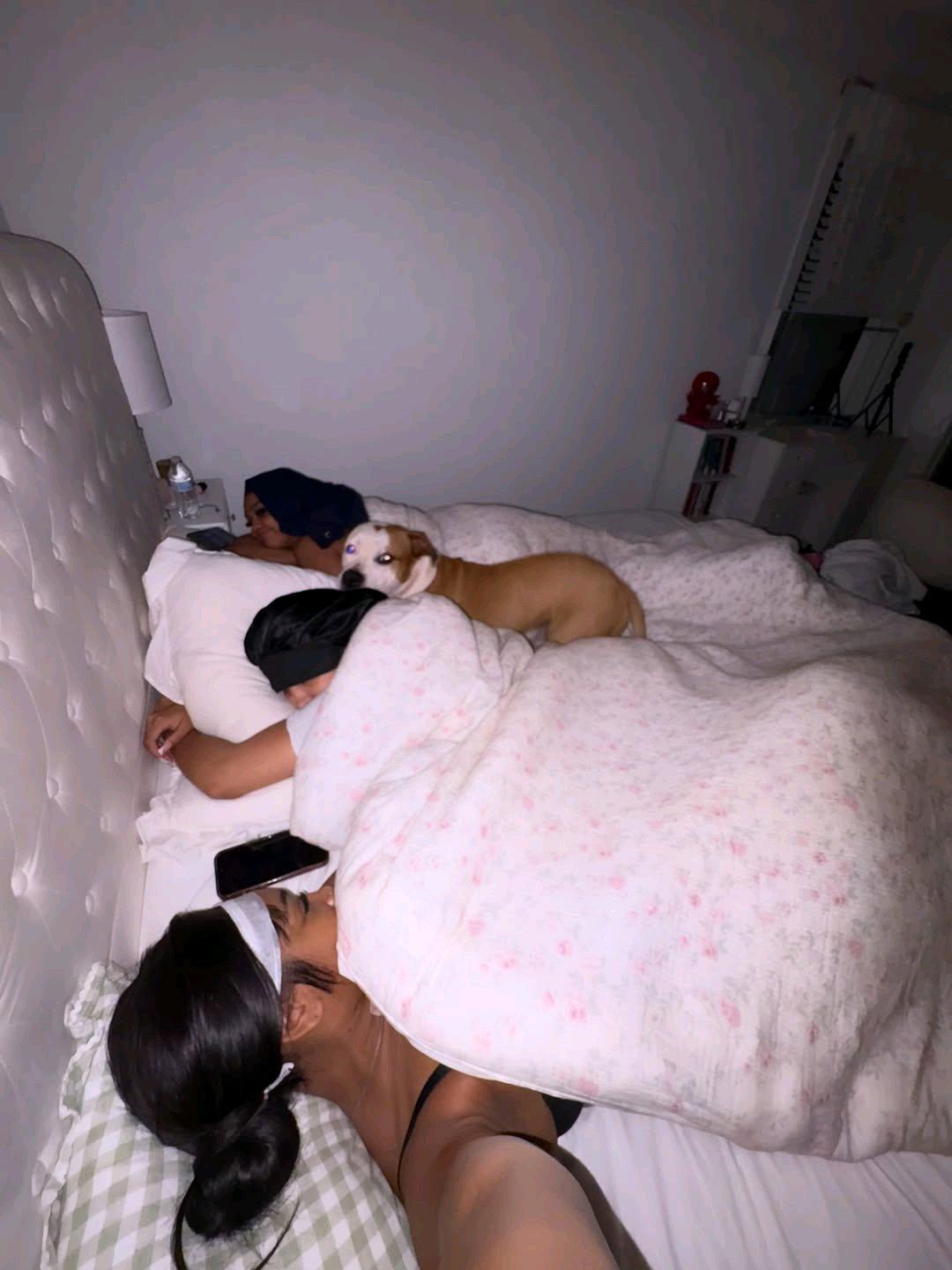 Im selling two dogs for hit me up on my signal 6294445223 - Andover, Connecticut - FleaMarketBay