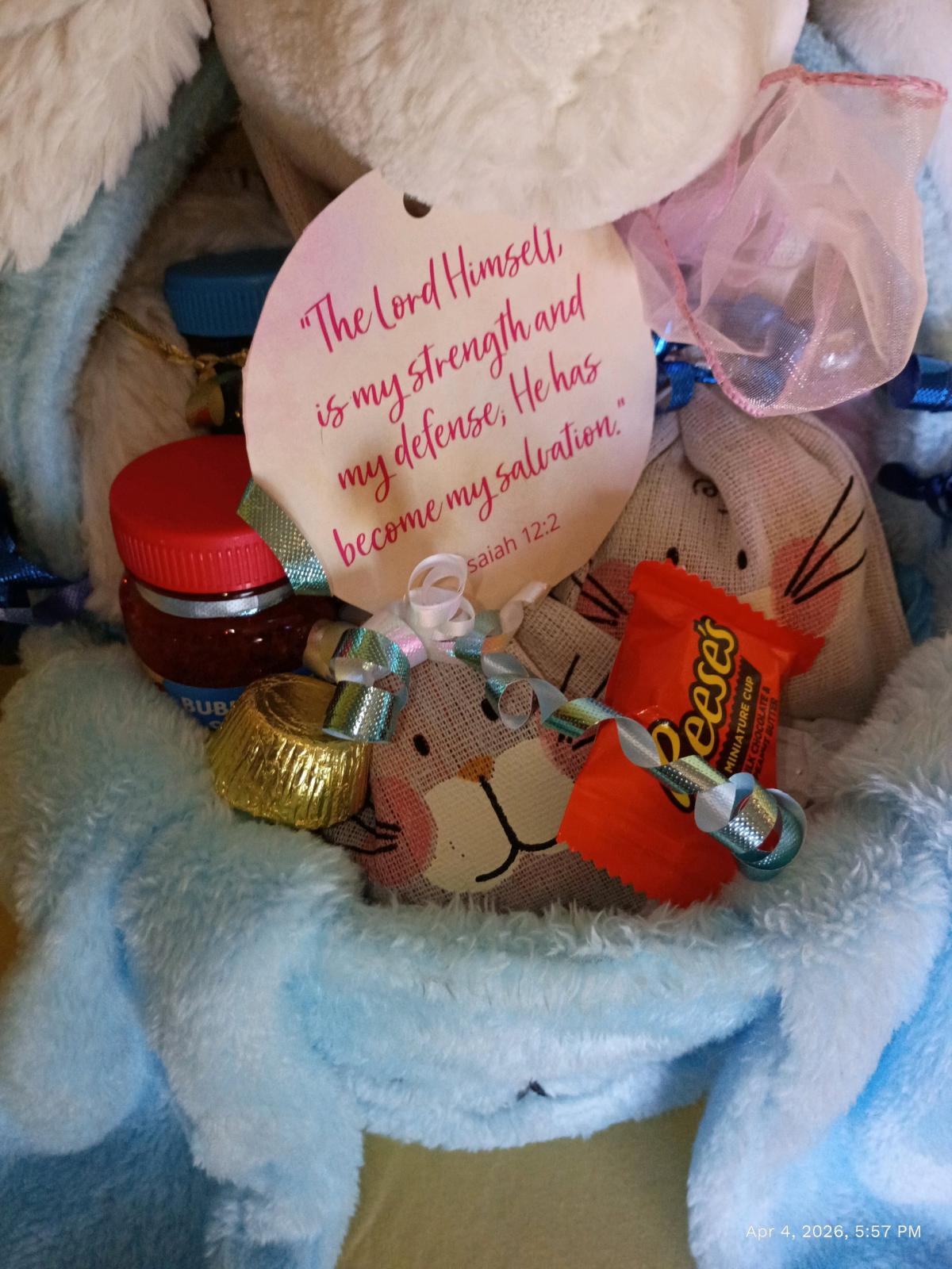 Manhattan Toy Co Blue Bunny Easter Basket - Bedford, Texas - FleaMarketBay