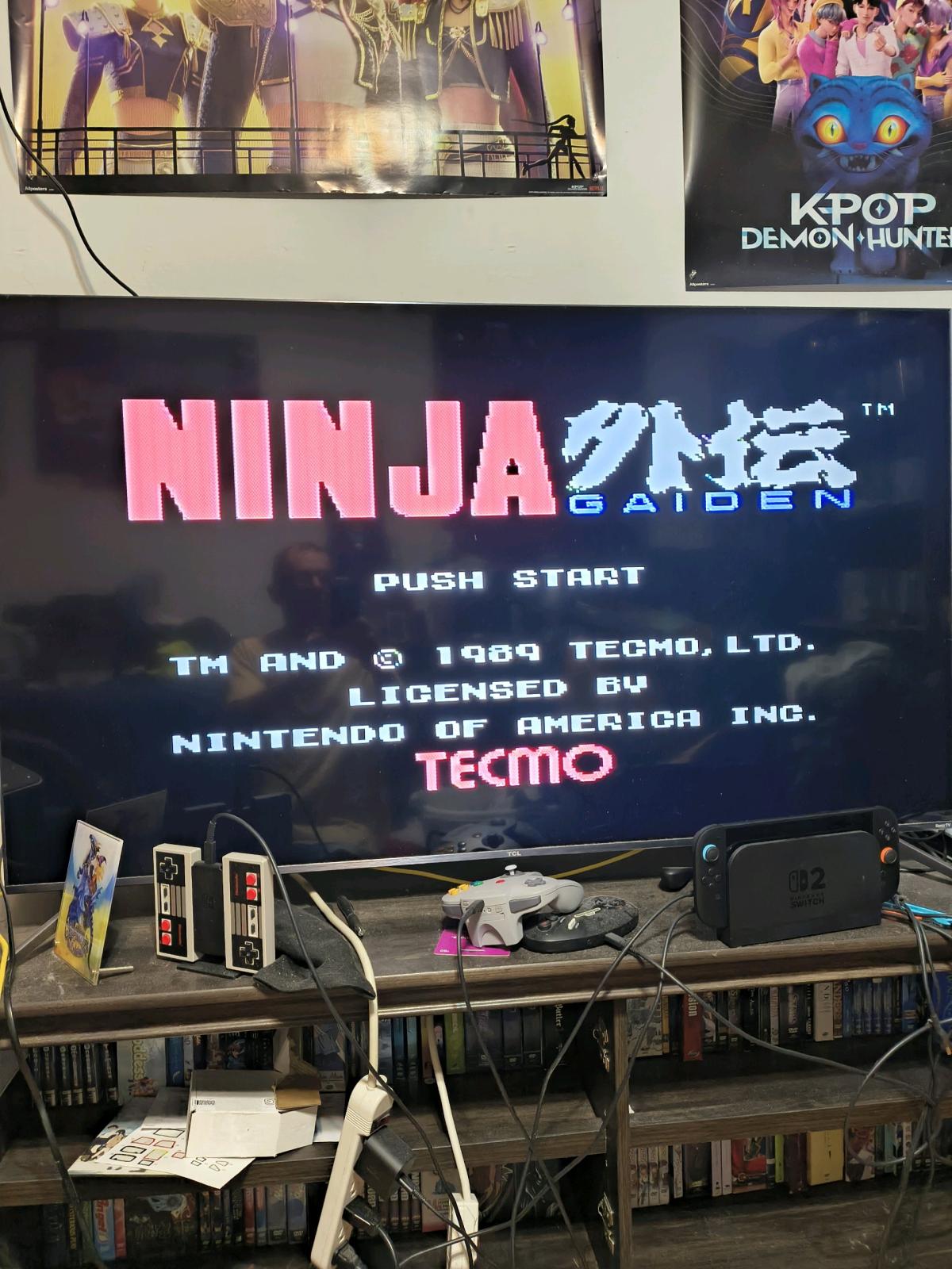 2 Nintendo NES consoles with controllers zapper gun and 11 g - Richmond, Virginia - FleaMarketBay