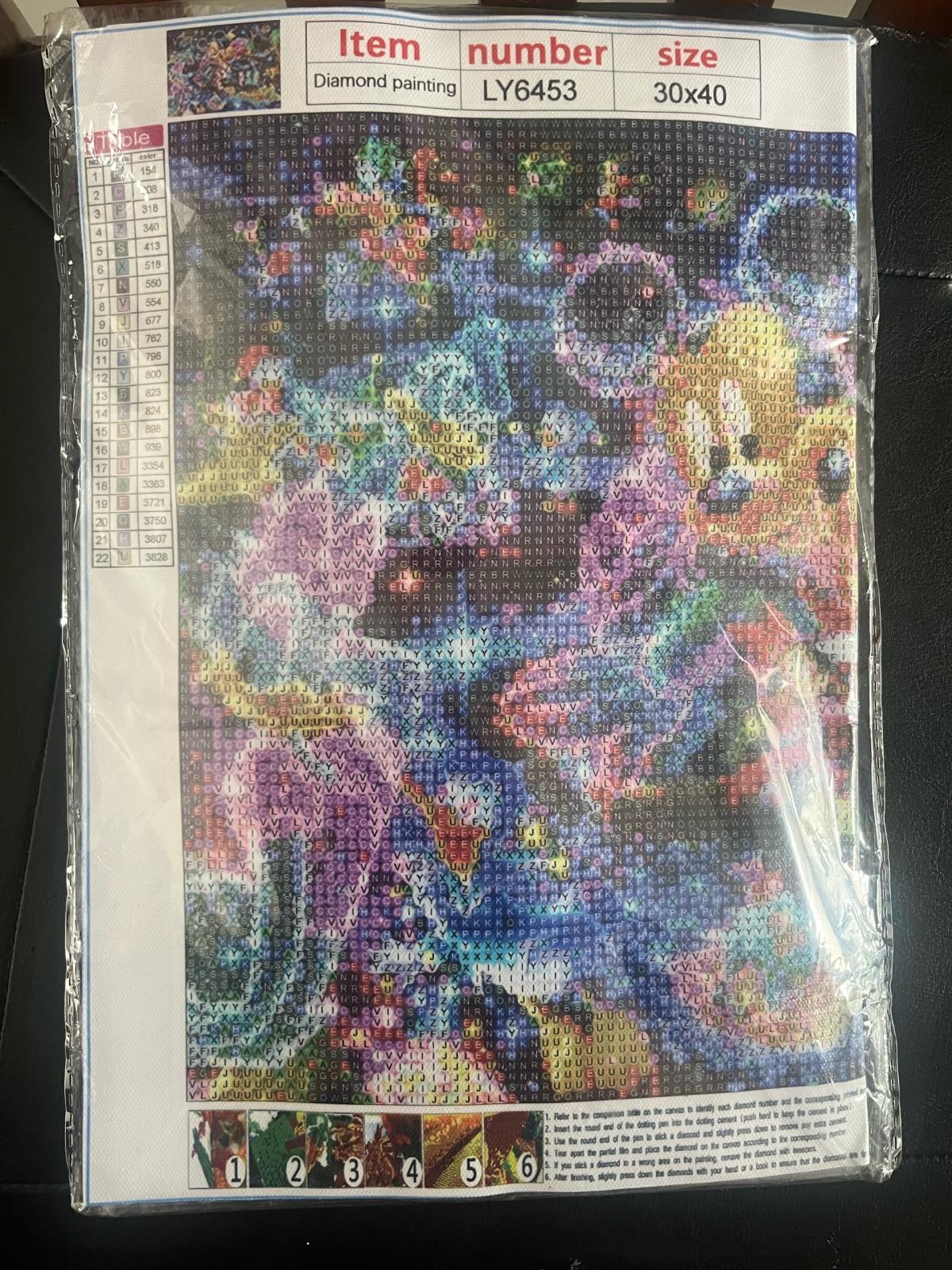 Minnie and Mickey diamond art