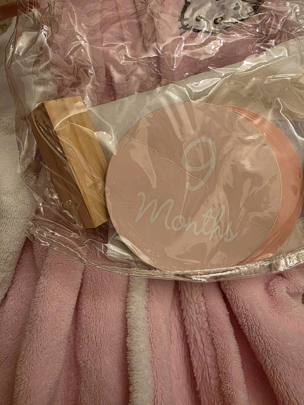 baby girl clothes - Hudson, Florida - FleaMarketBay