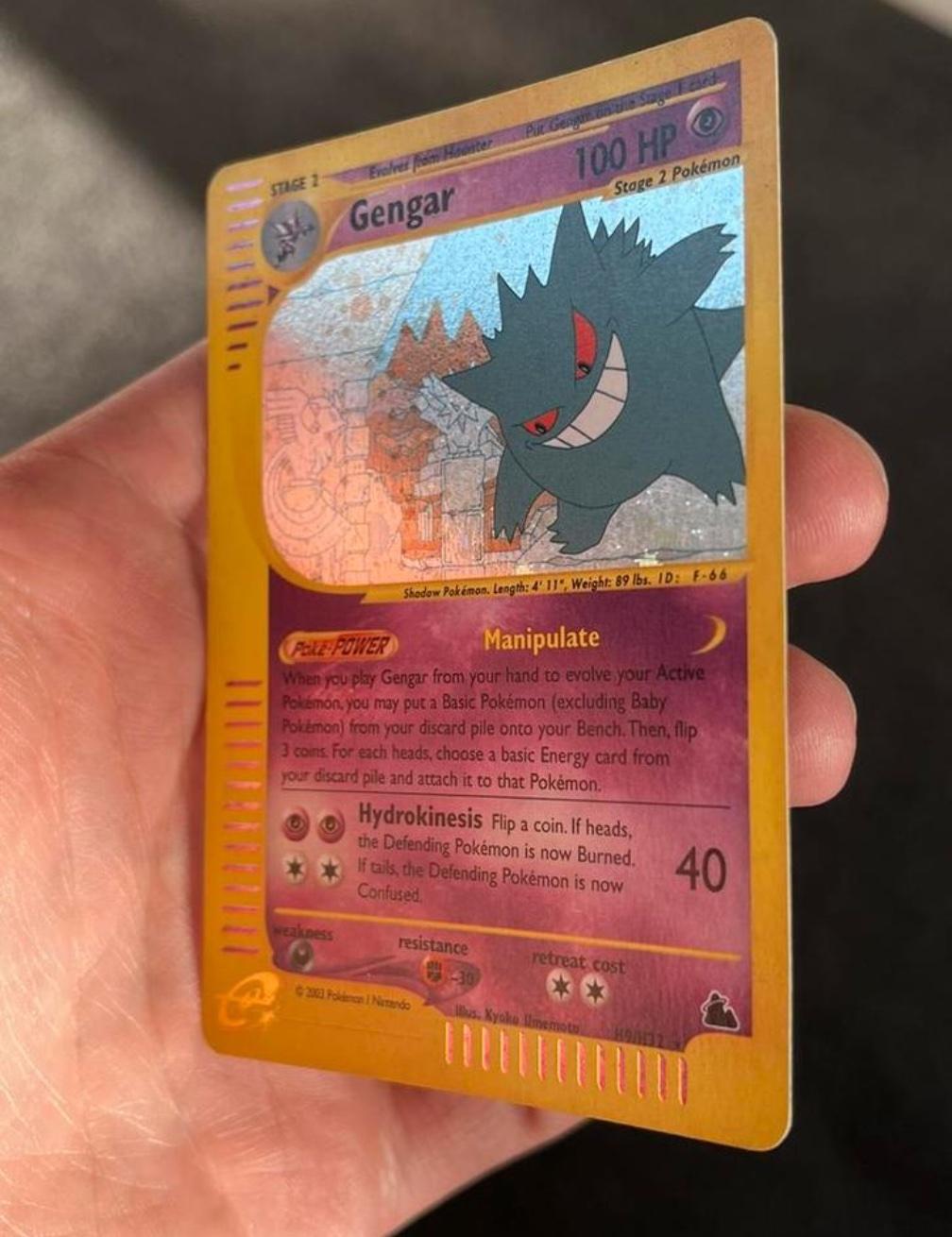 Gengar and Charizard - Cleveland, Ohio - FleaMarketBay