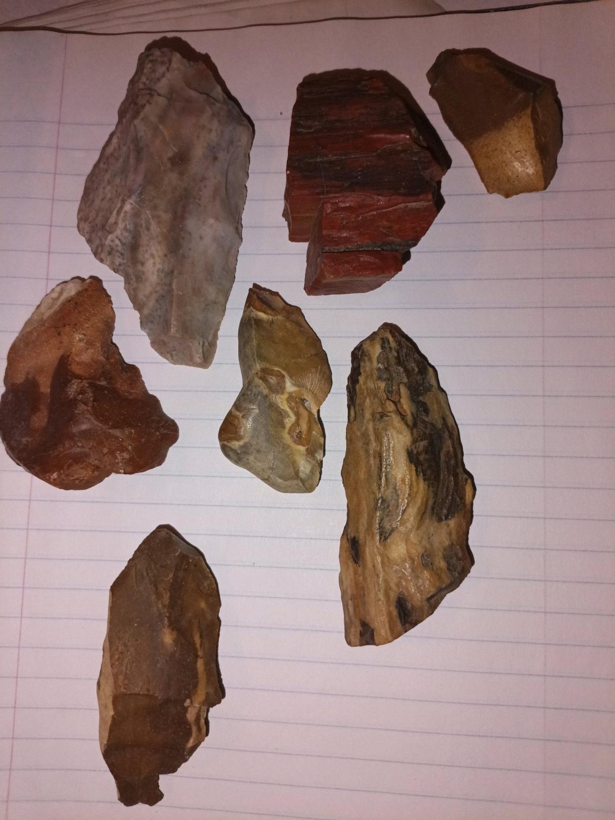 petrified wood - Double Springs, Alabama - FleaMarketBay