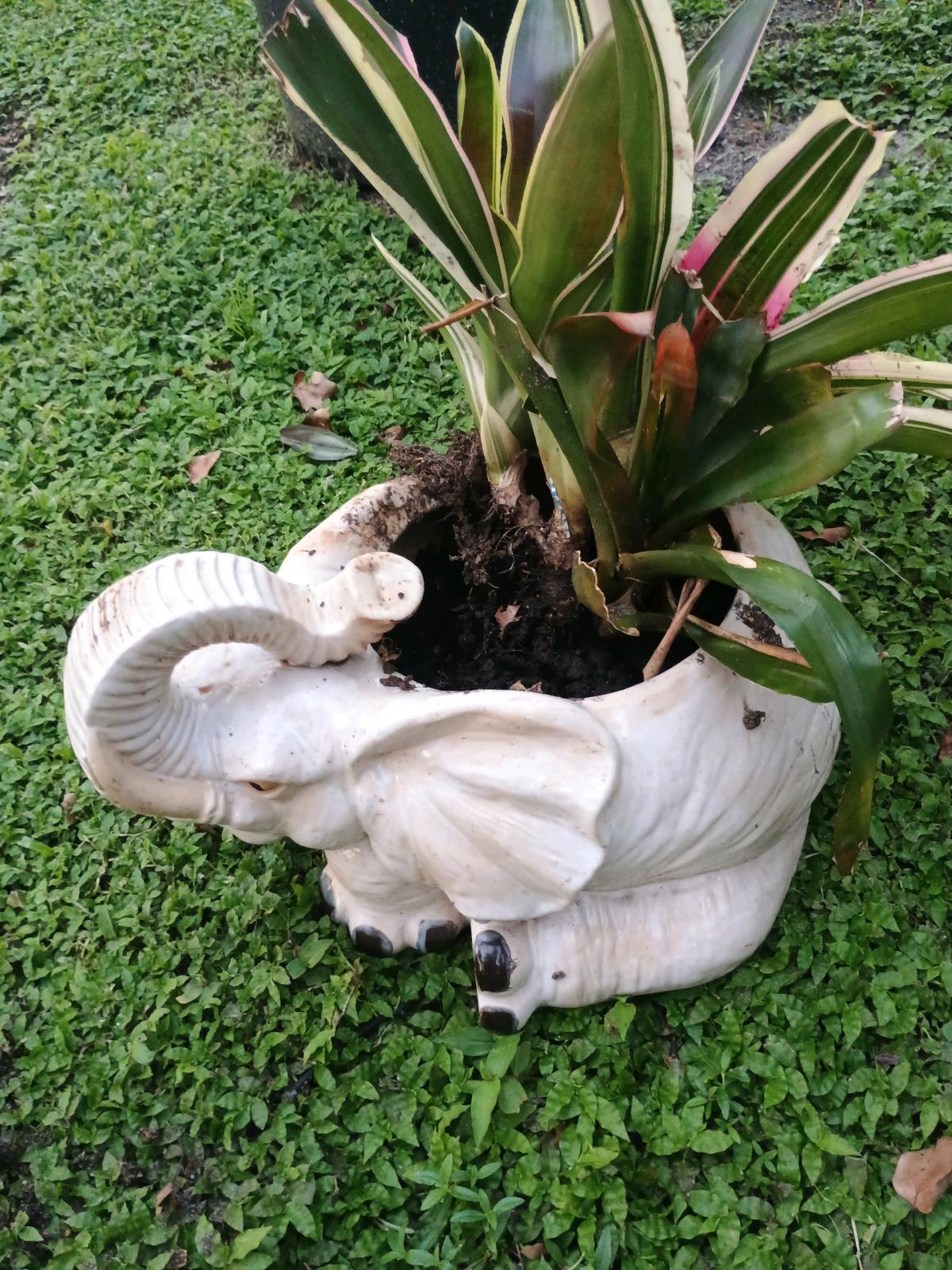 unique terracotta and porcelain decor - Orlando, Florida - FleaMarketBay